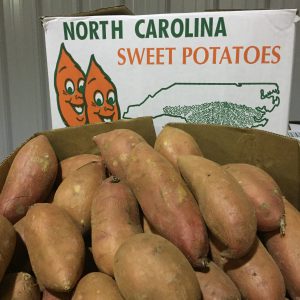 Sweet Potato