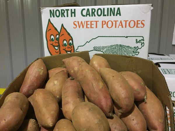 Sweet Potato