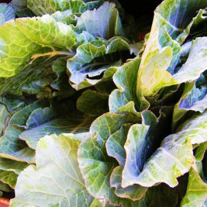 Collards