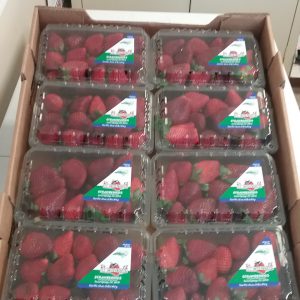 Strawberry (1lb)