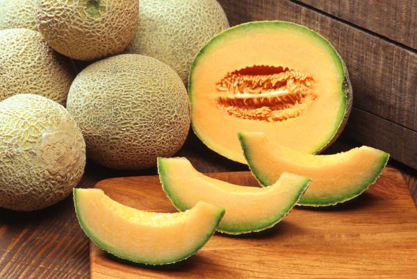 Cantaloupes 9 Count Box
