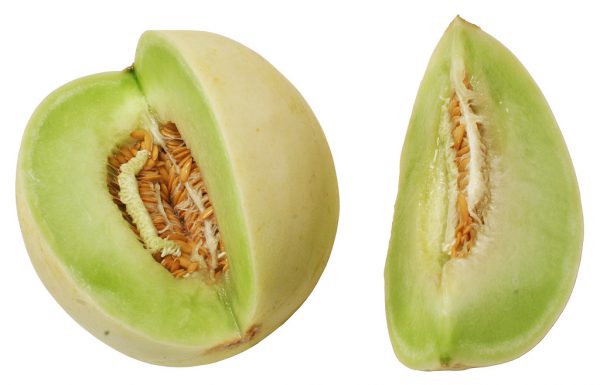 Honey Dew (6 count)