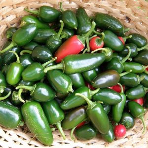 Jalapeno