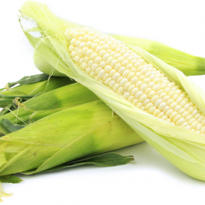 Corn (White)