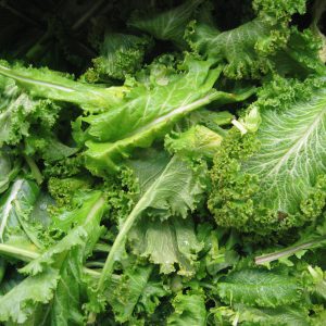 Mustard Greens (Curly)