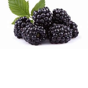 Black Berries