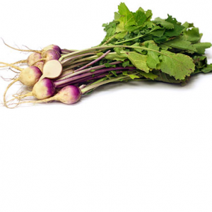 Bunch Turnip