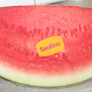 Seedless Watermelon (45 Count)