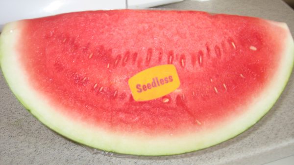 Seedless Watermelon (45 Count)
