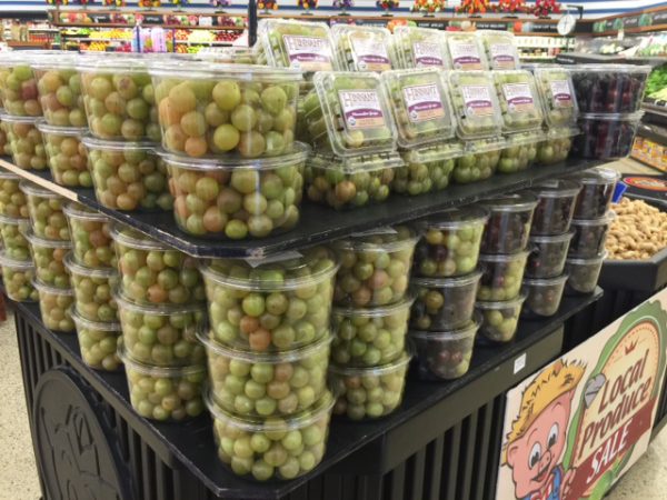 Grapes - Bronze