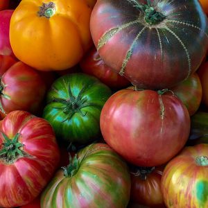 Heirloom Tomatoes  10 lb cs