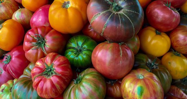 Heirloom Tomatoes  10 lb cs