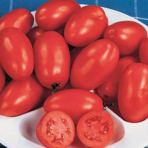 Roma Tomatoes 25lbs Box
