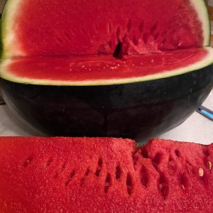 Black Jack Watermelon 36 ct.