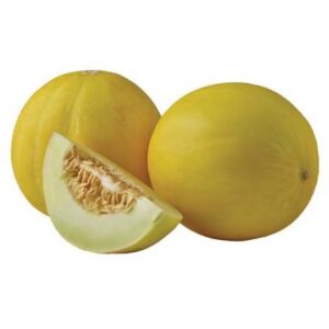 Golden Honeydew-6ct.